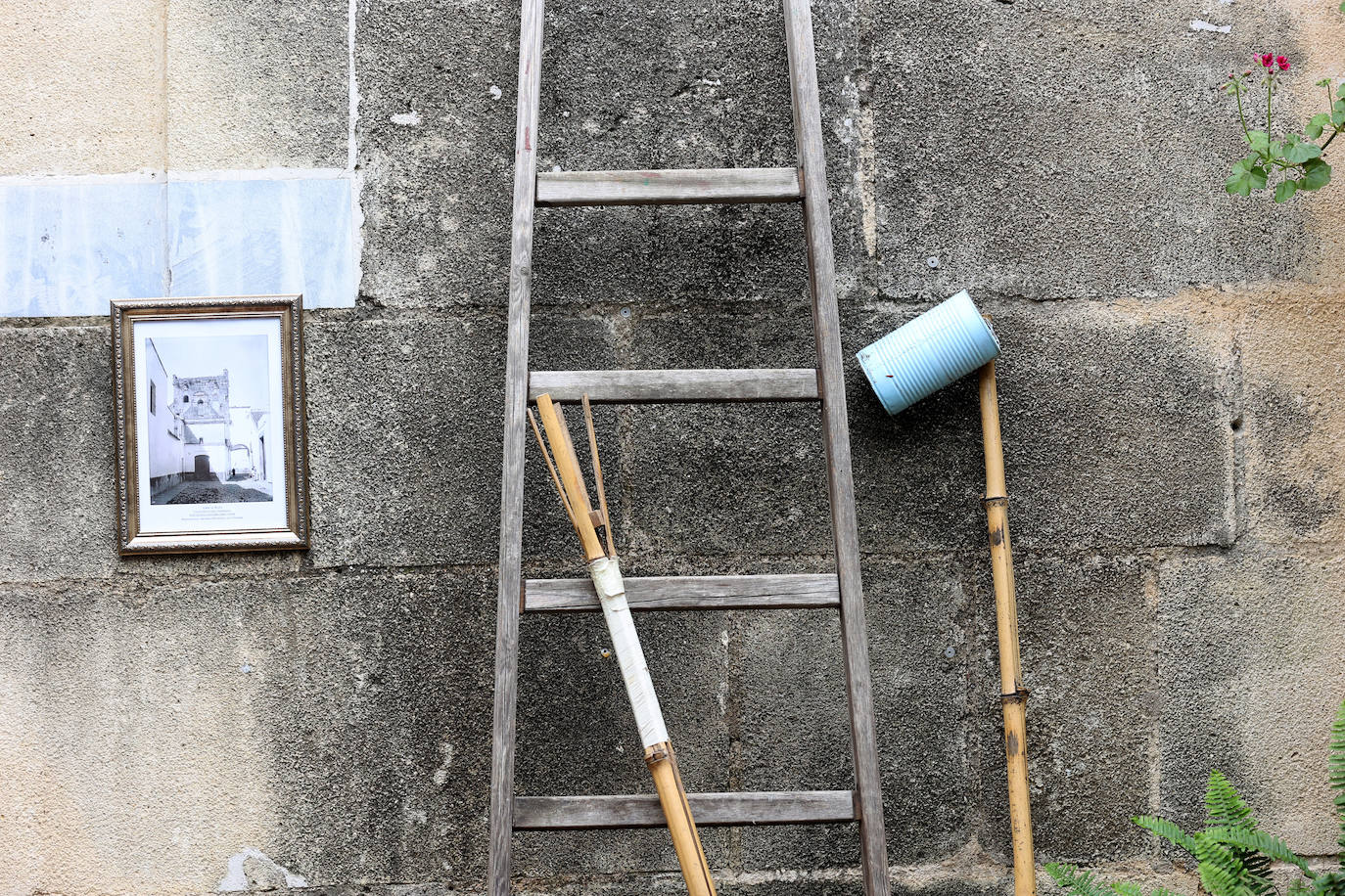 Las Cruces de Mayo premiadas en Córdoba, en imágenes