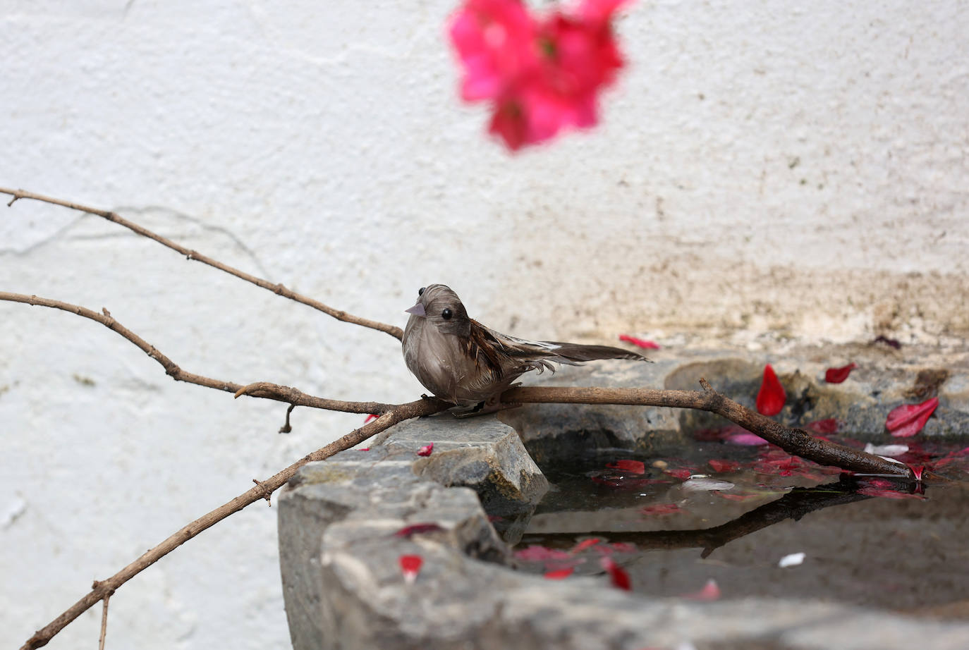 Las Cruces de Mayo premiadas en Córdoba, en imágenes
