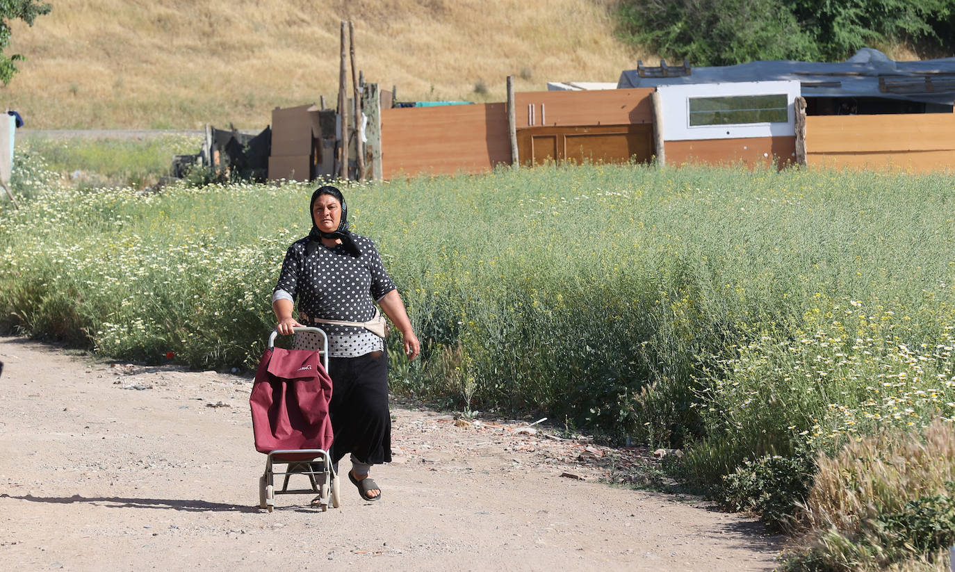 El poblado de chabolas del camino de Carbonell en Córdoba, en imágenes