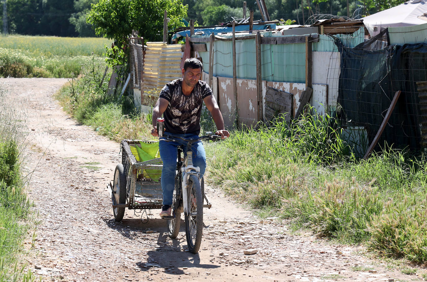 El poblado de chabolas del camino de Carbonell en Córdoba, en imágenes