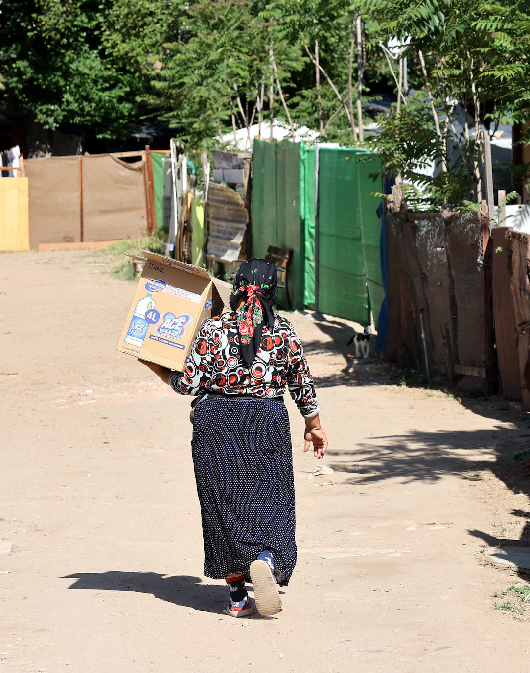 El poblado de chabolas del camino de Carbonell en Córdoba, en imágenes