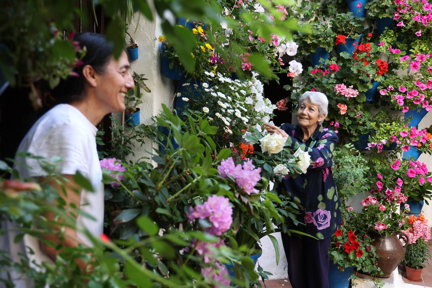 Los preparativos de los Patios de Córdoba 2023, en imágenes