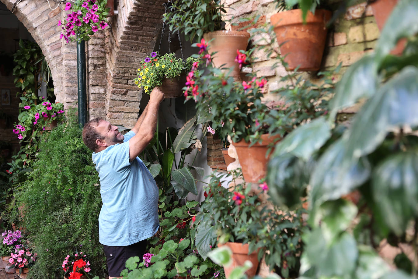 Los preparativos de los Patios de Córdoba 2023, en imágenes