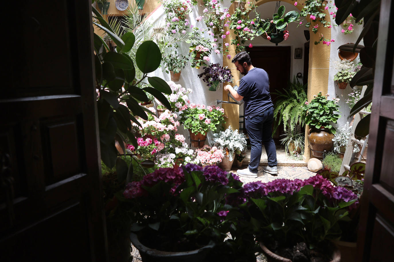 Los preparativos de los Patios de Córdoba 2023, en imágenes