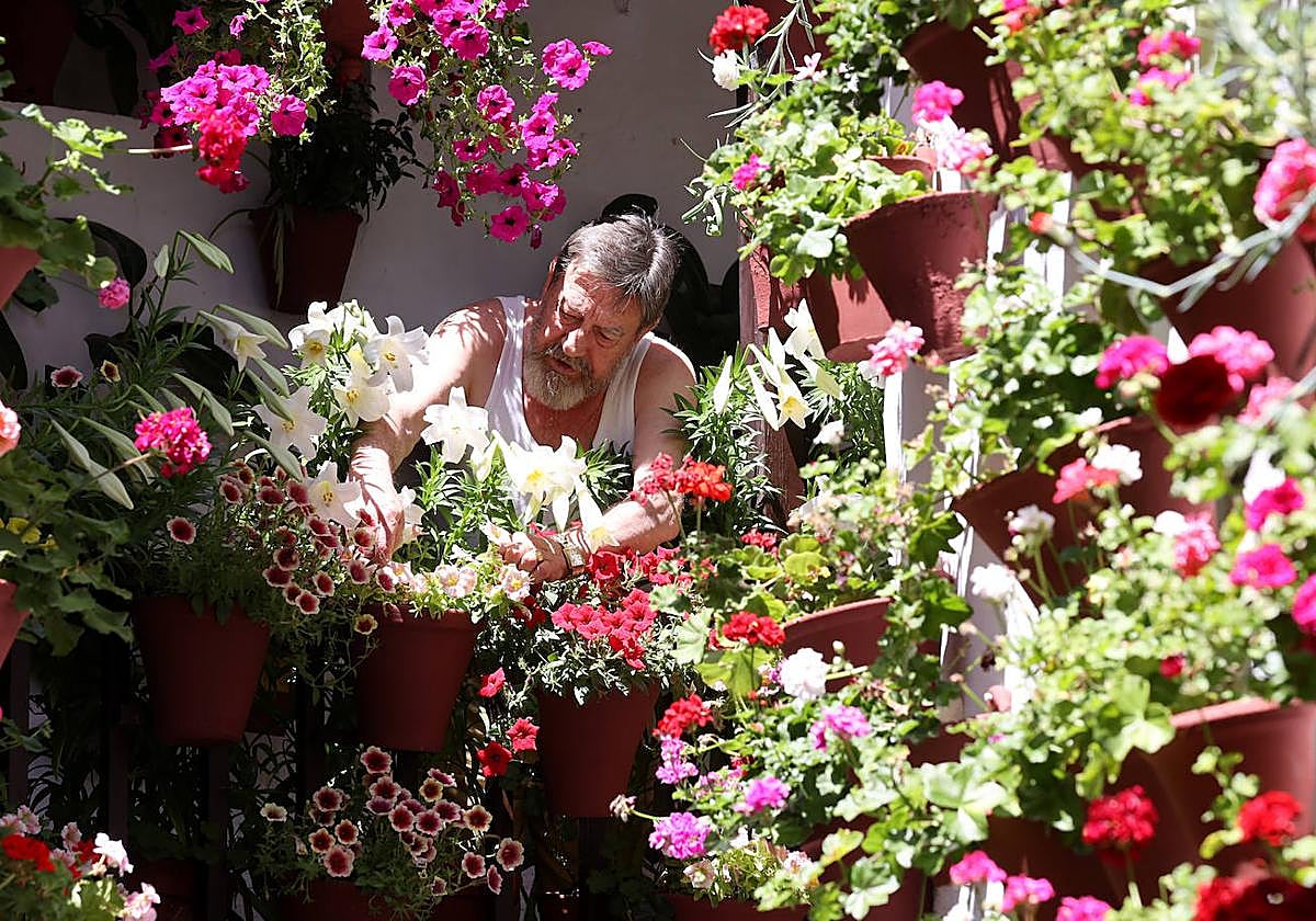 El propietario de uno de los Patios de Córdoba 2023 con sus macetas