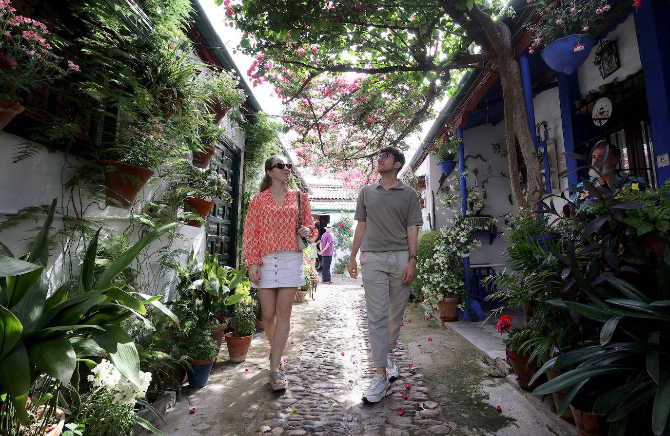 Patios Córdoba 2023 | La belleza antigua de la ruta de Santa Marina y San Agustín, en imágenes