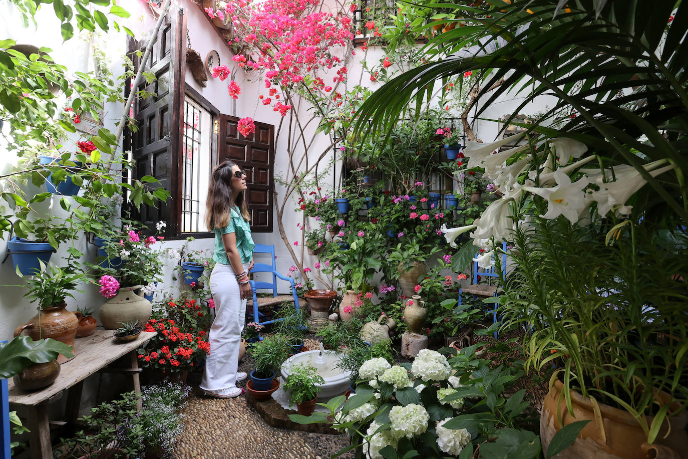 Patios Córdoba 2023 | La belleza antigua de la ruta de Santa Marina y San Agustín, en imágenes