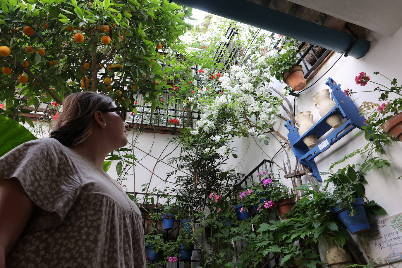 Patios Córdoba 2023 | La belleza antigua de la ruta de Santa Marina y San Agustín, en imágenes