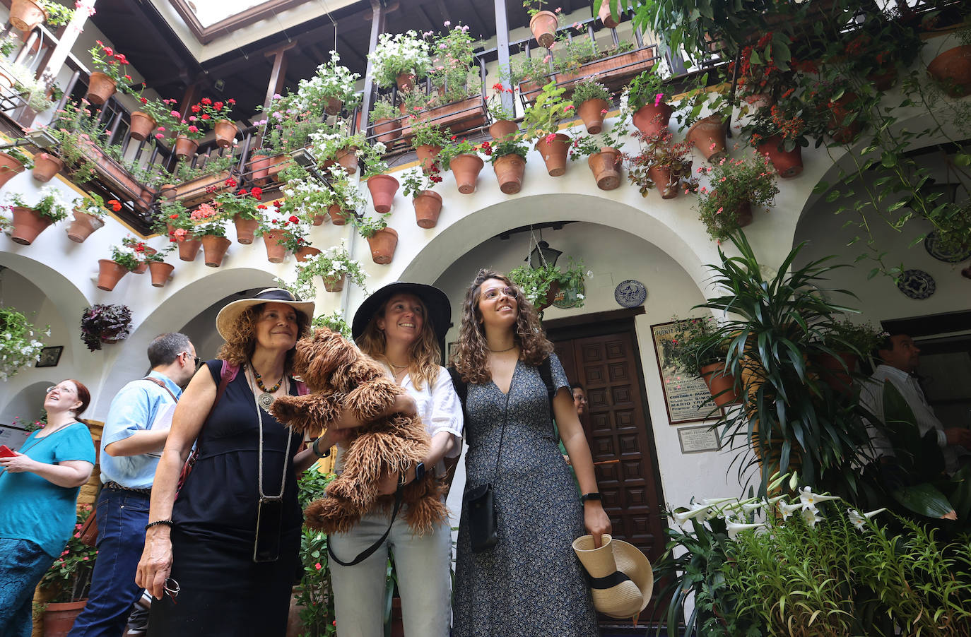 Patios Córdoba 2023 | La belleza antigua de la ruta de Santa Marina y San Agustín, en imágenes