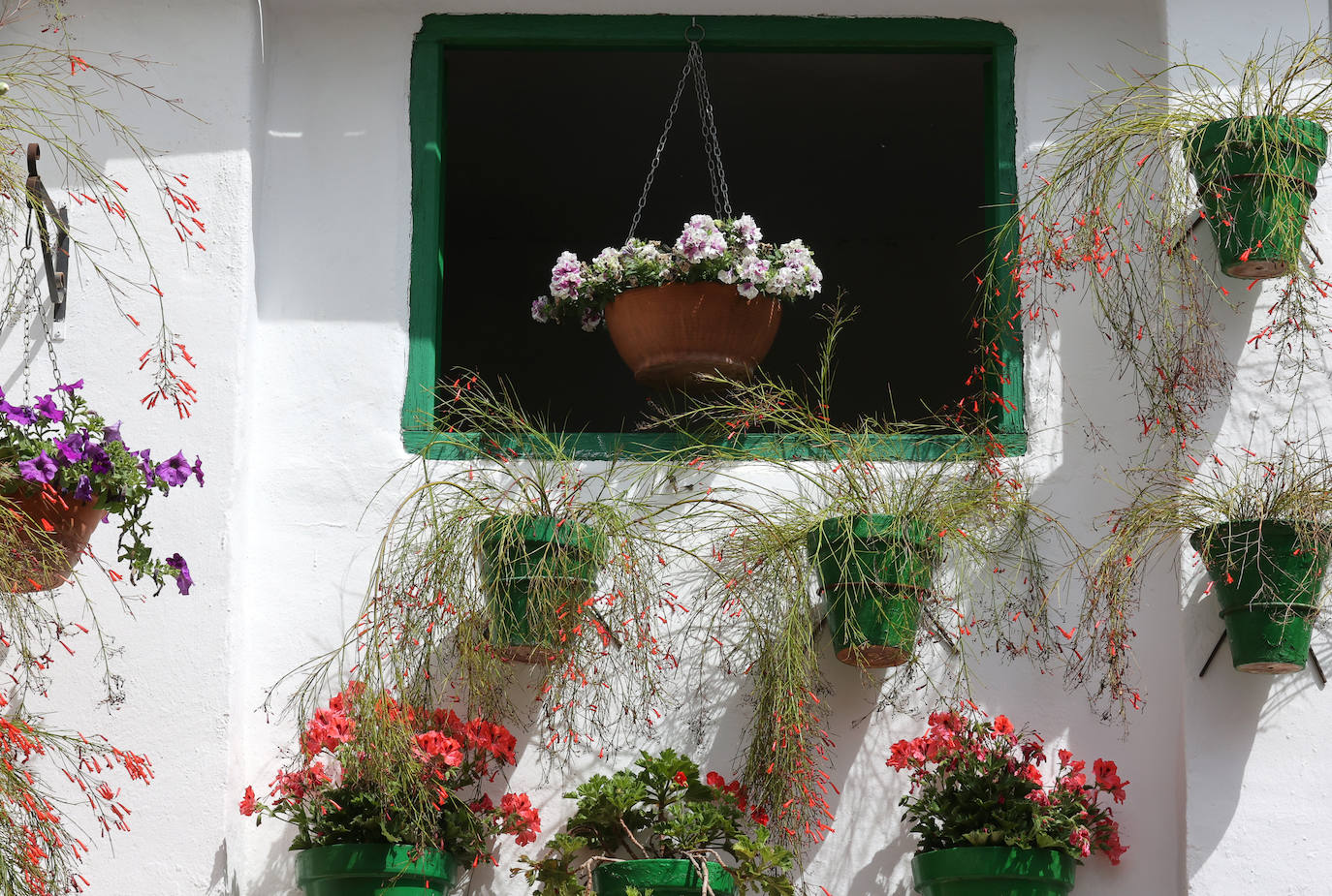 Patios Córdoba 2023 | La belleza antigua de la ruta de Santa Marina y San Agustín, en imágenes