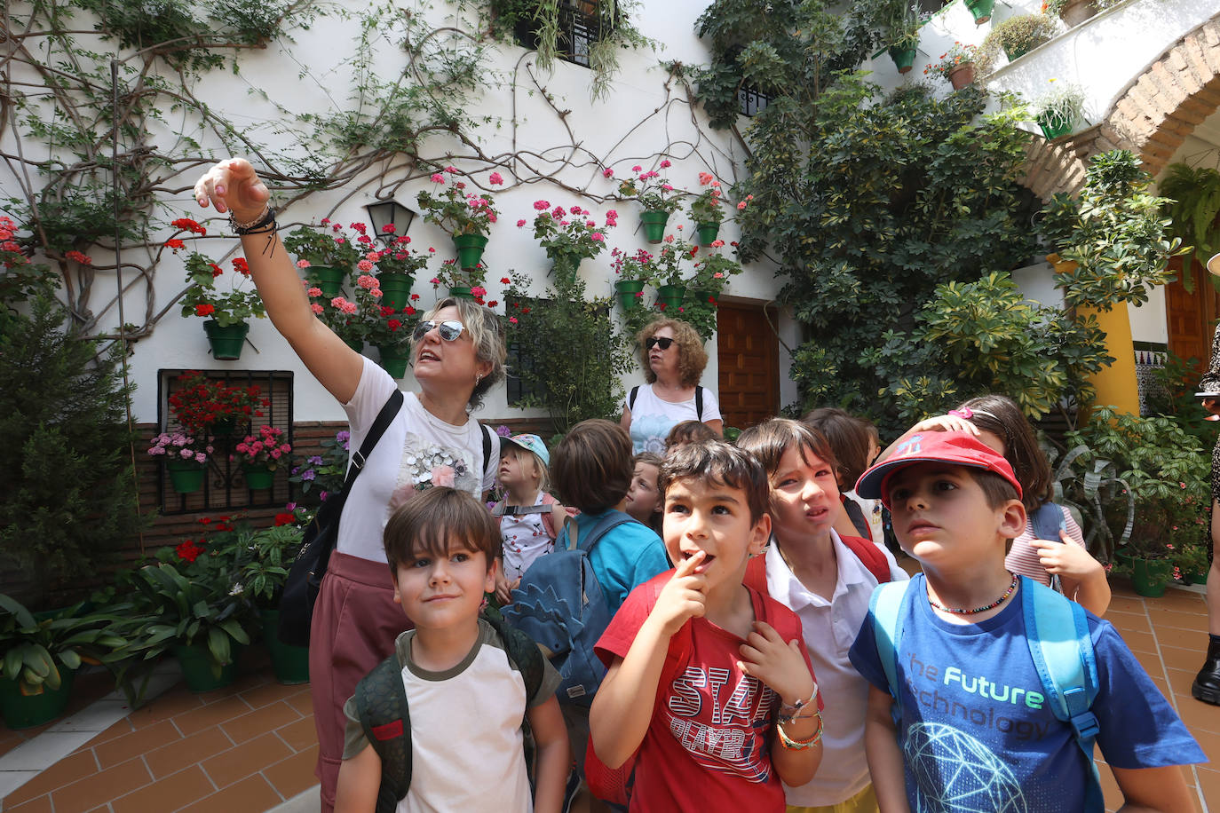 Patios Córdoba 2023 | La belleza antigua de la ruta de Santa Marina y San Agustín, en imágenes