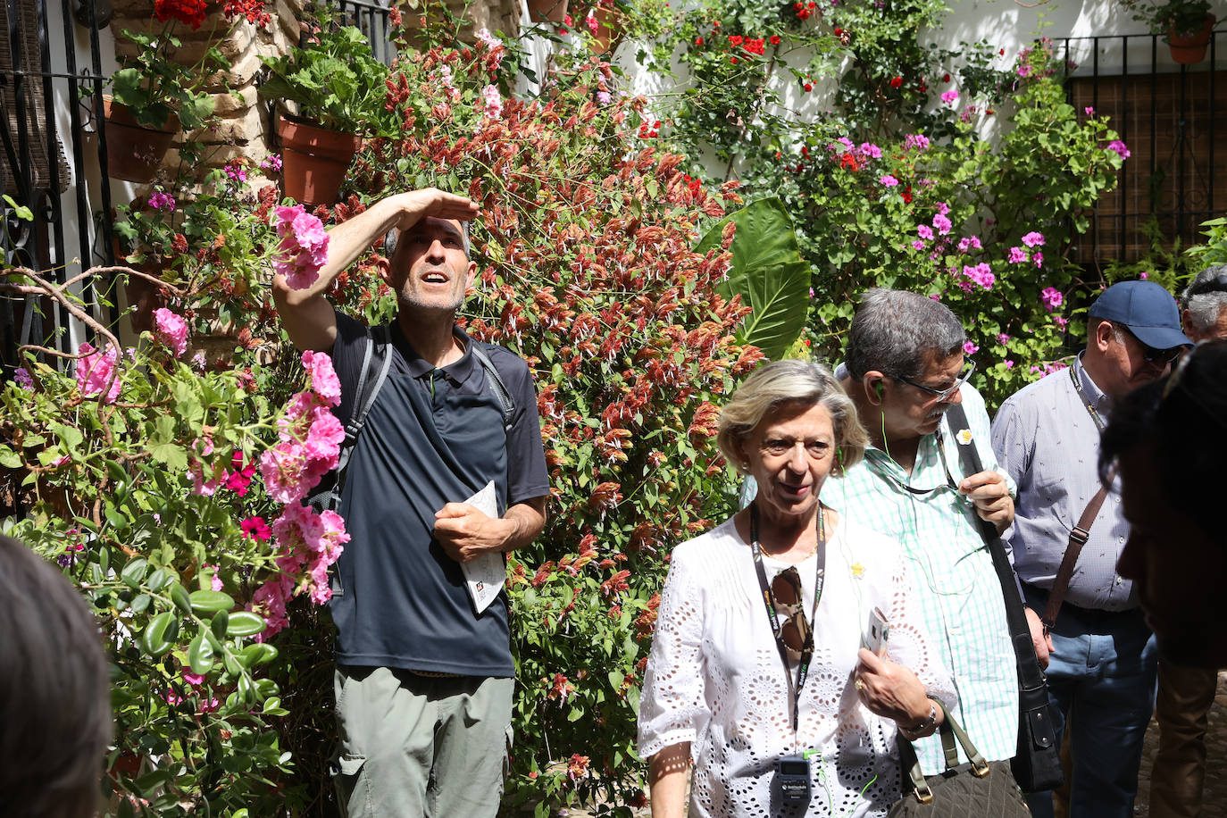 Patios Córdoba 2023 | La belleza antigua de la ruta de Santa Marina y San Agustín, en imágenes