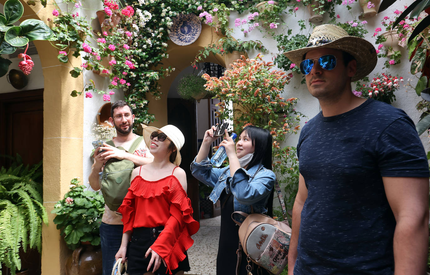 Patios Córdoba 2023 | La belleza antigua de la ruta de Santa Marina y San Agustín, en imágenes