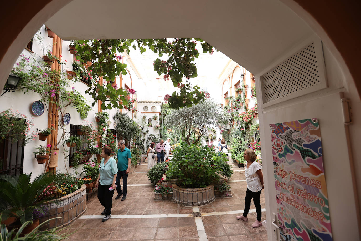 Patios Córdoba 2023 | La belleza antigua de la ruta de Santa Marina y San Agustín, en imágenes