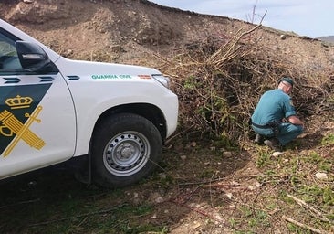 Entierra viva a su mastina de siete meses en un vertedero en Piedrafita de Babia (León)