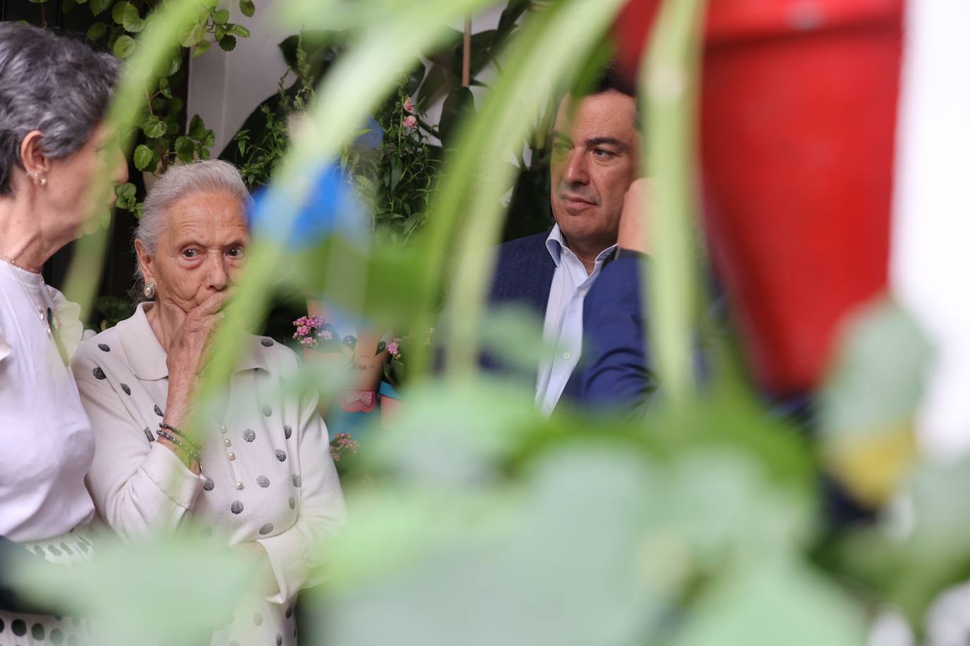 La visita de Juanma Moreno a los Patios de Córdoba, en imágenes