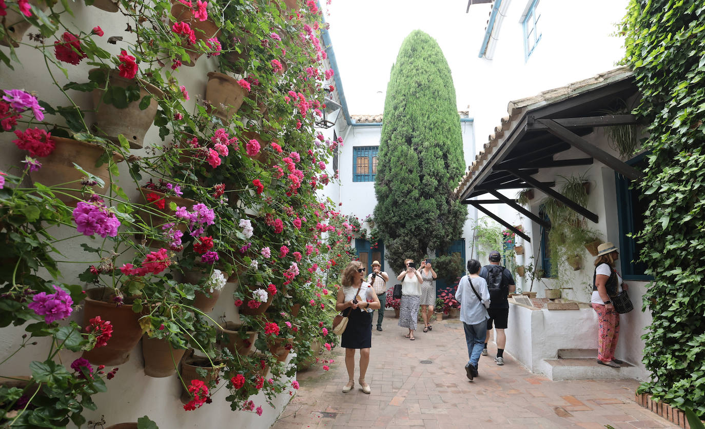 Patios Córdoba 2023 | El Palacio de Viana, en imágenes