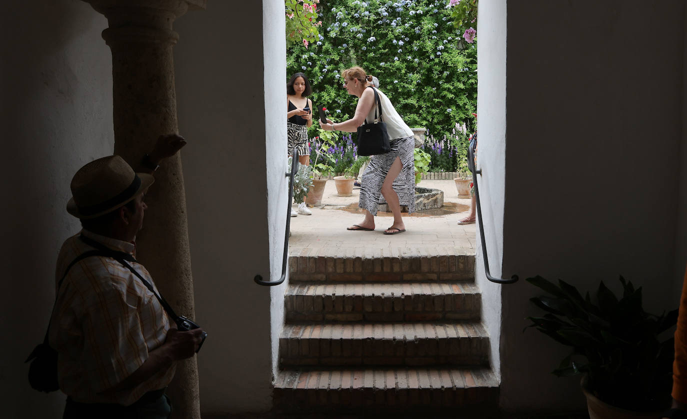 Patios Córdoba 2023 | El Palacio de Viana, en imágenes