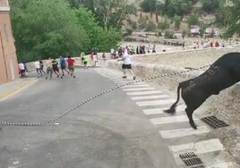 Piden a la Generalitat una investigación por la caída al vacío de un toro en Valencia