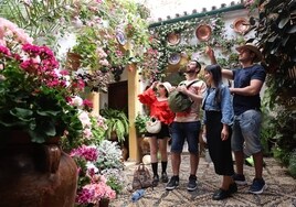 ¿Quieres elegir el mejor Patio de Córdoba 2023? Participa en el concurso de ABC