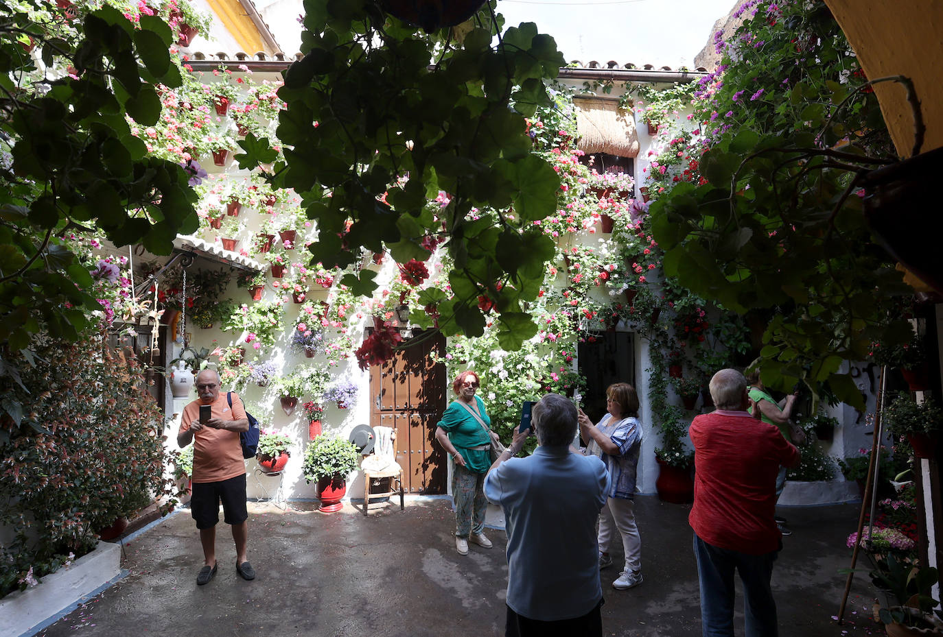 Patios de Córdoba 2023 | La exuberante ruta de San Basilio, en imágenes