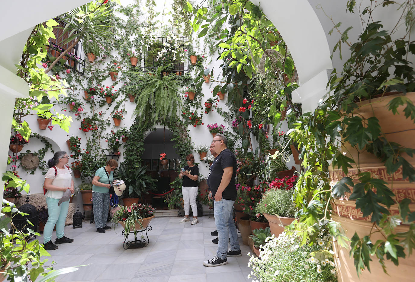 Patios de Córdoba 2023 | La exuberante ruta de San Basilio, en imágenes