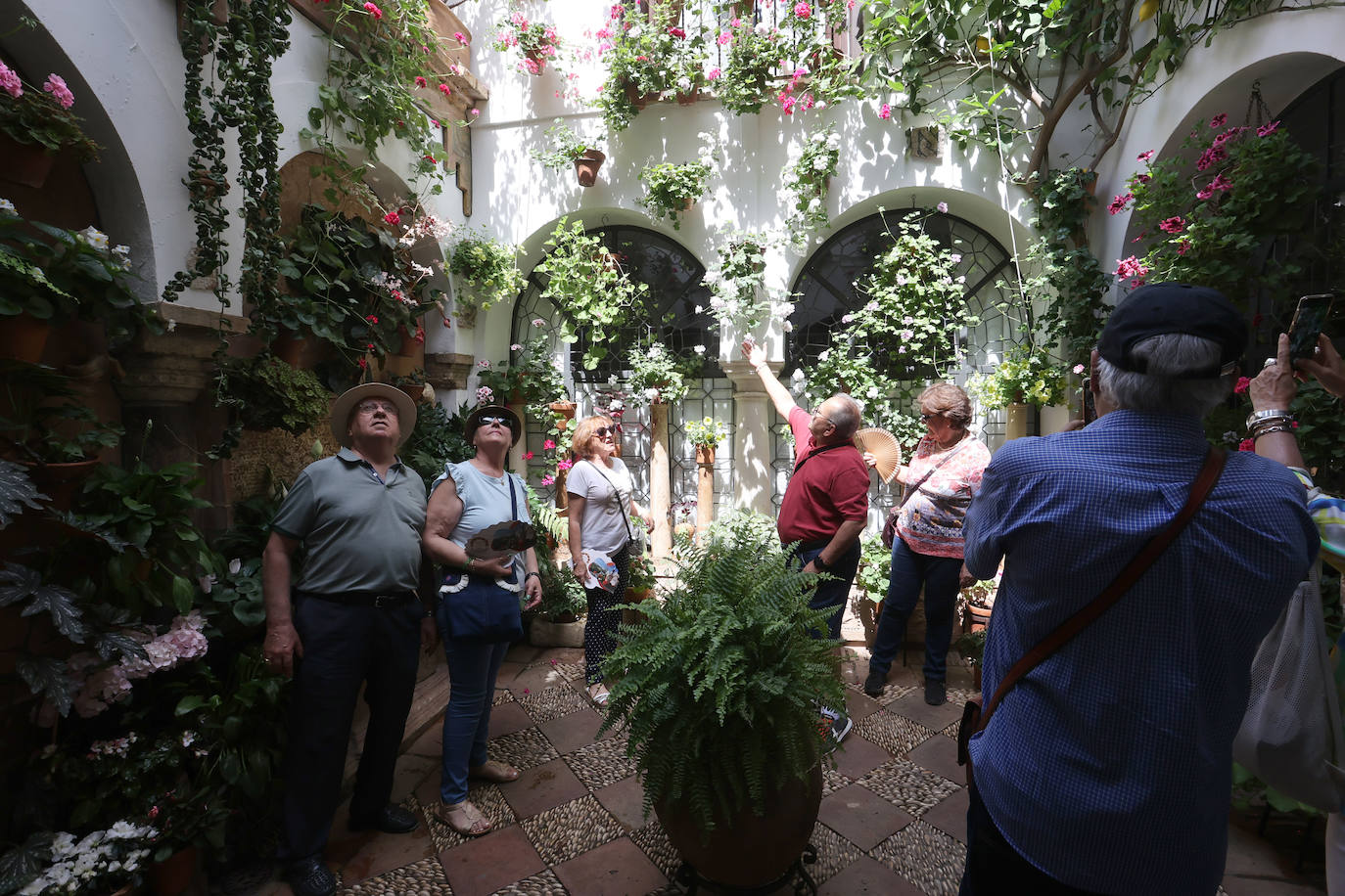 Patios de Córdoba 2023 | La exuberante ruta de San Basilio, en imágenes