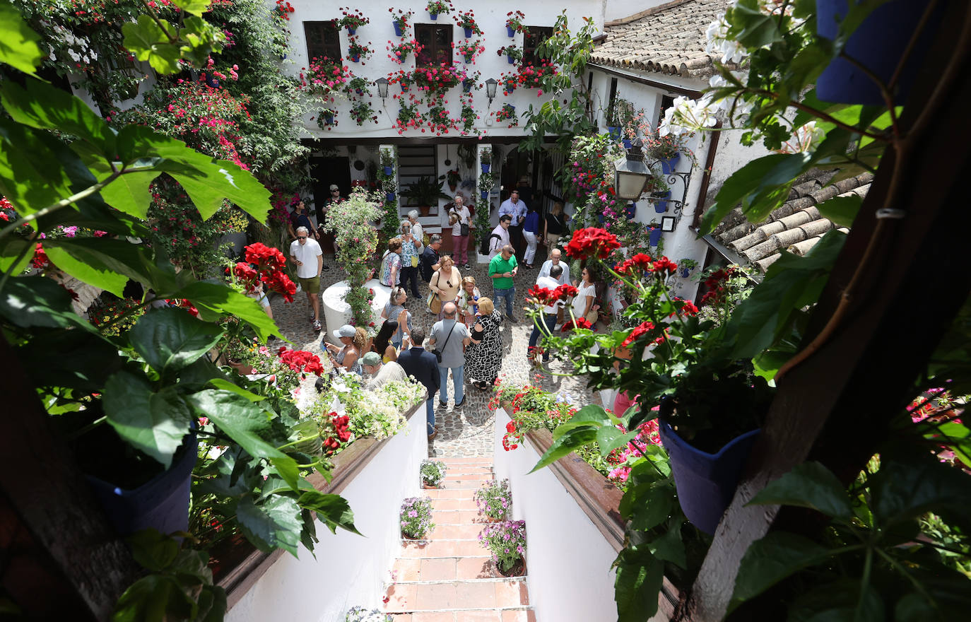 Patios de Córdoba 2023 | La exuberante ruta de San Basilio, en imágenes