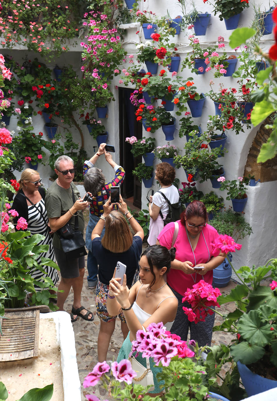Patios de Córdoba 2023 | La exuberante ruta de San Basilio, en imágenes