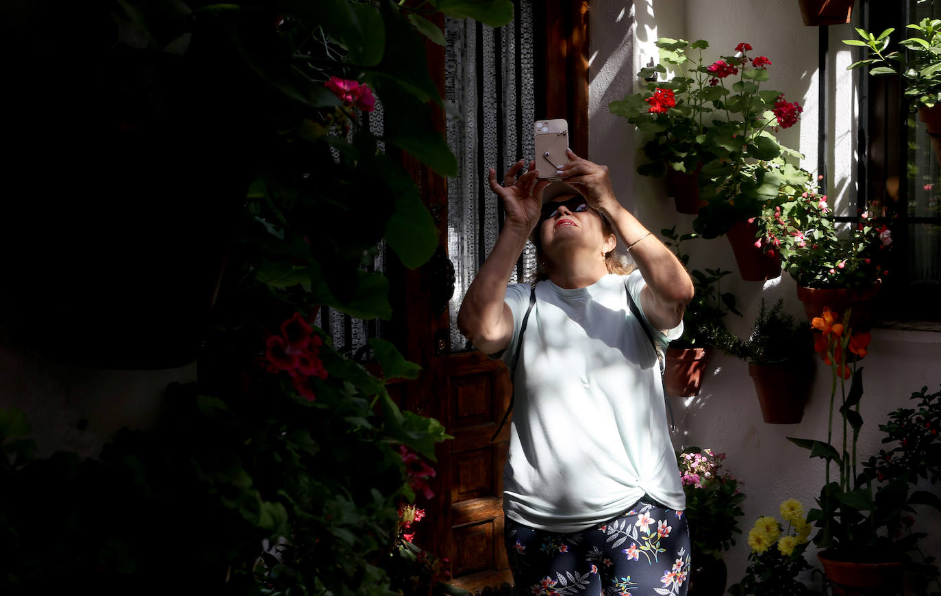 Patios de Córdoba 2023 | La exuberante ruta de San Basilio, en imágenes