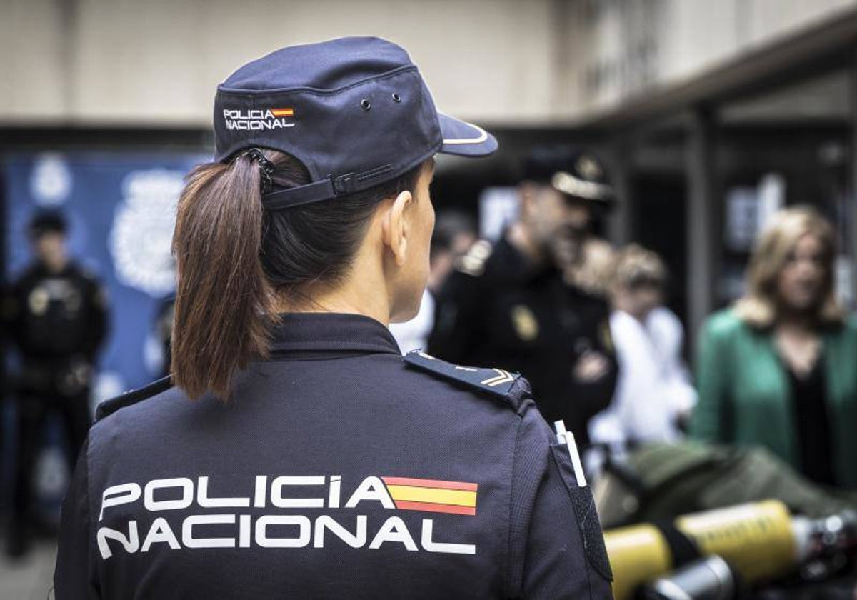 El arresto lo ha llevado a cabo la Policía Nacional