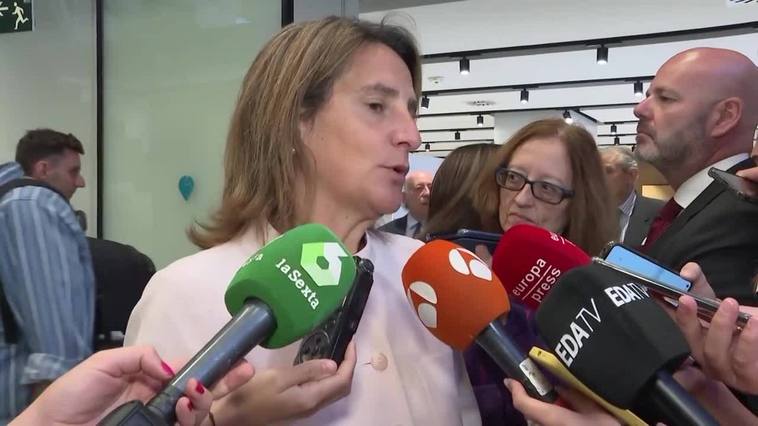 Ribera sobre posible relevo en la dirección de Endesa: "Son decisiones de empresa"