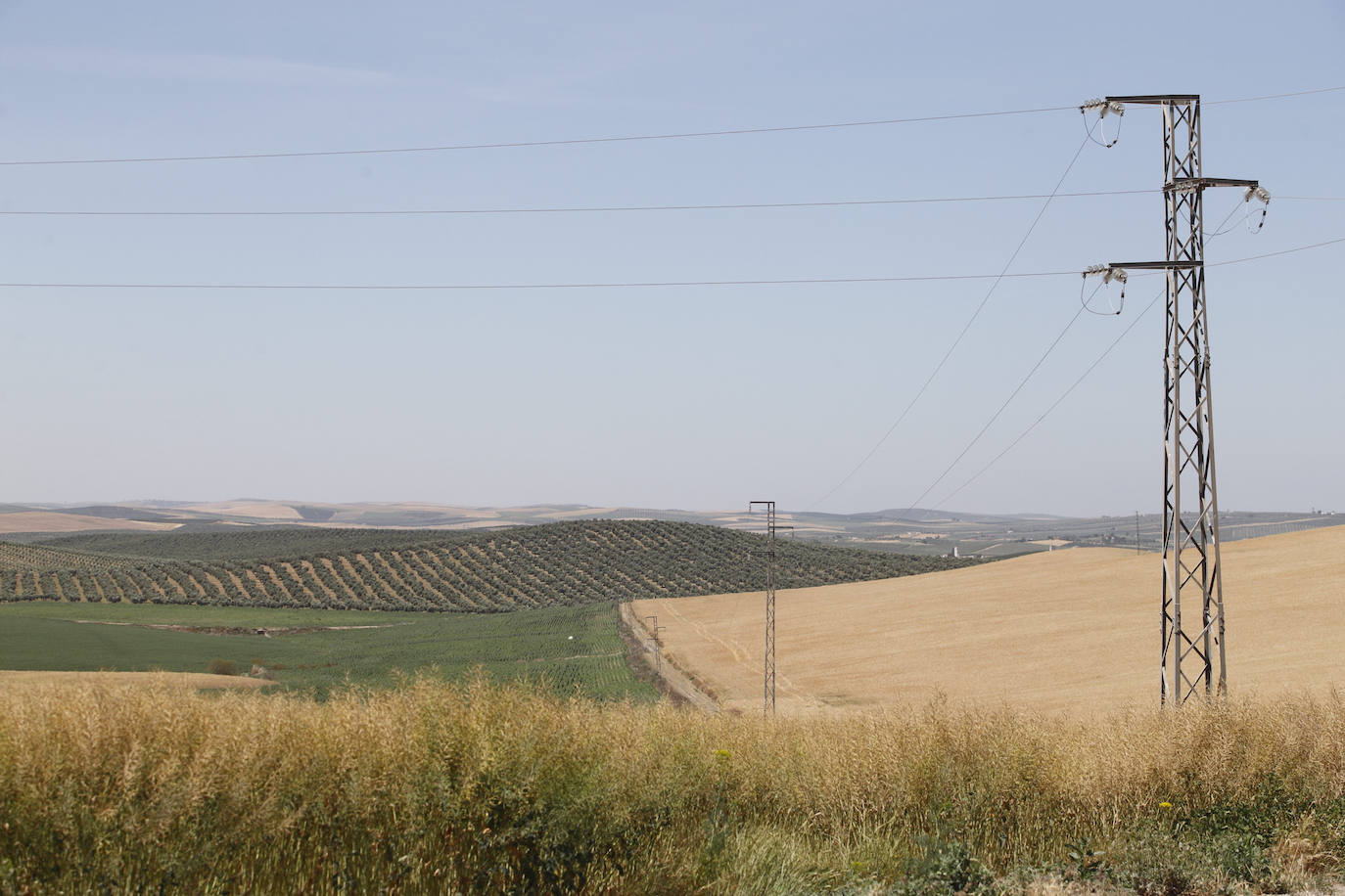 El paisaje de miles de olivos que arrasarían las placas solares en el Alto Guadalquivir, en imágenes