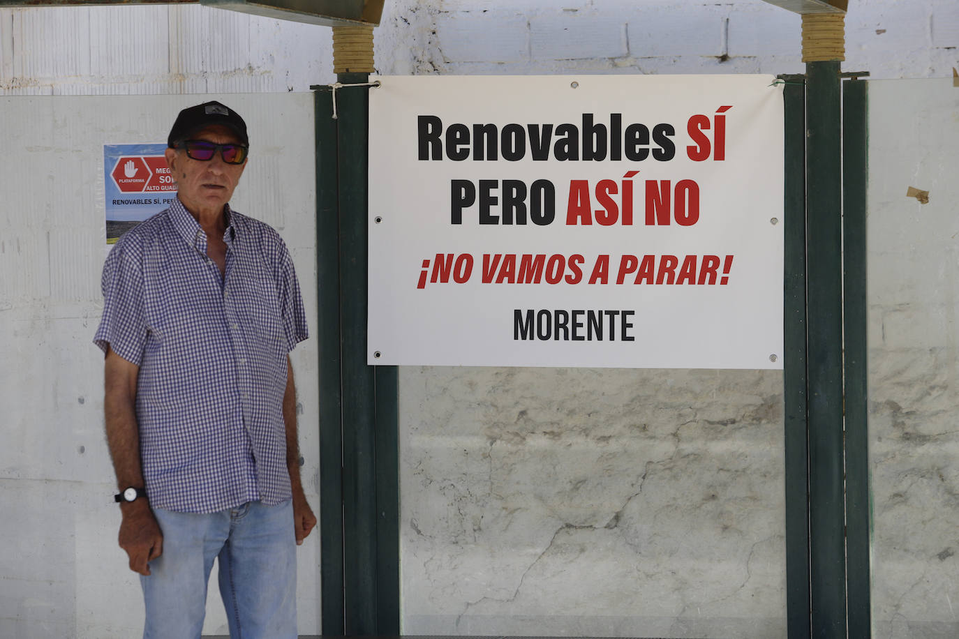 El paisaje de miles de olivos que arrasarían las placas solares en el Alto Guadalquivir, en imágenes