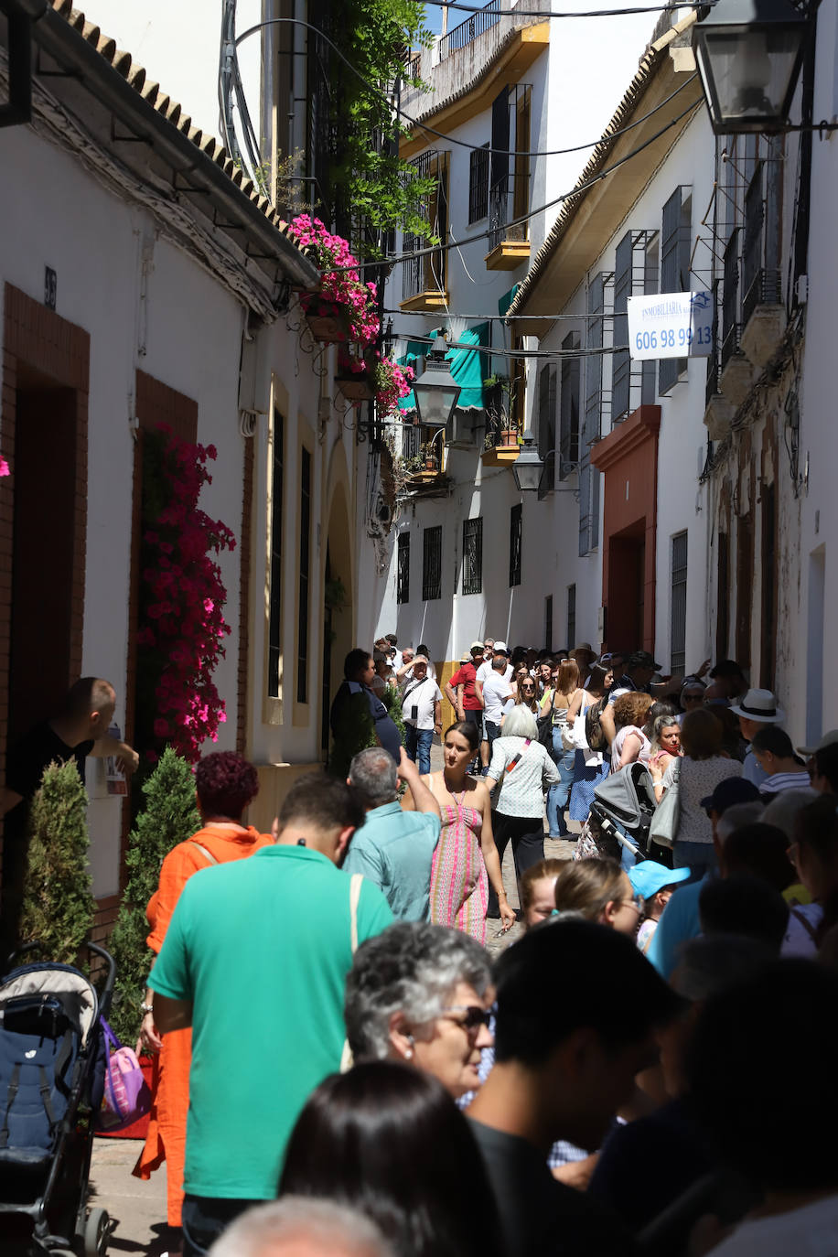 El pletórico sábado de Patios de Córdoba, en imágenes