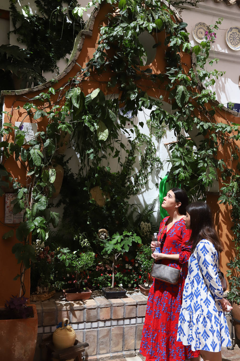 El pletórico sábado de Patios de Córdoba, en imágenes