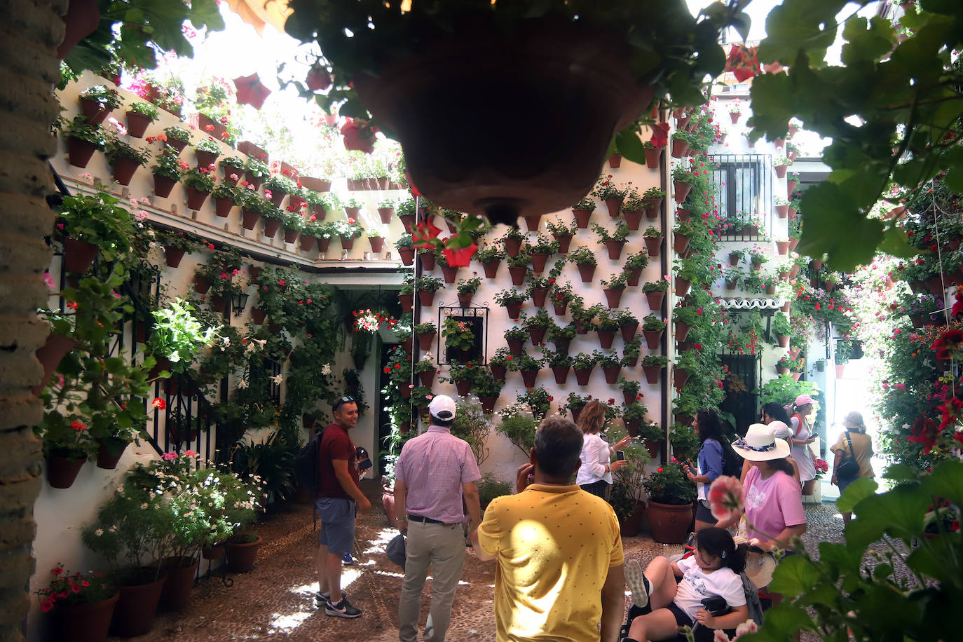 El pletórico sábado de Patios de Córdoba, en imágenes