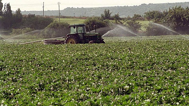 Finca de regadío en una imagen de archivo