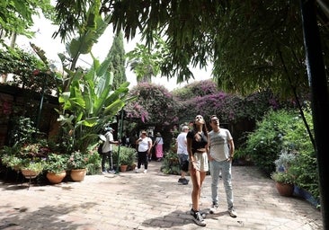 Patios de Córdoba 2023 | La ruta de Santiago y San Pedro, en imágenes