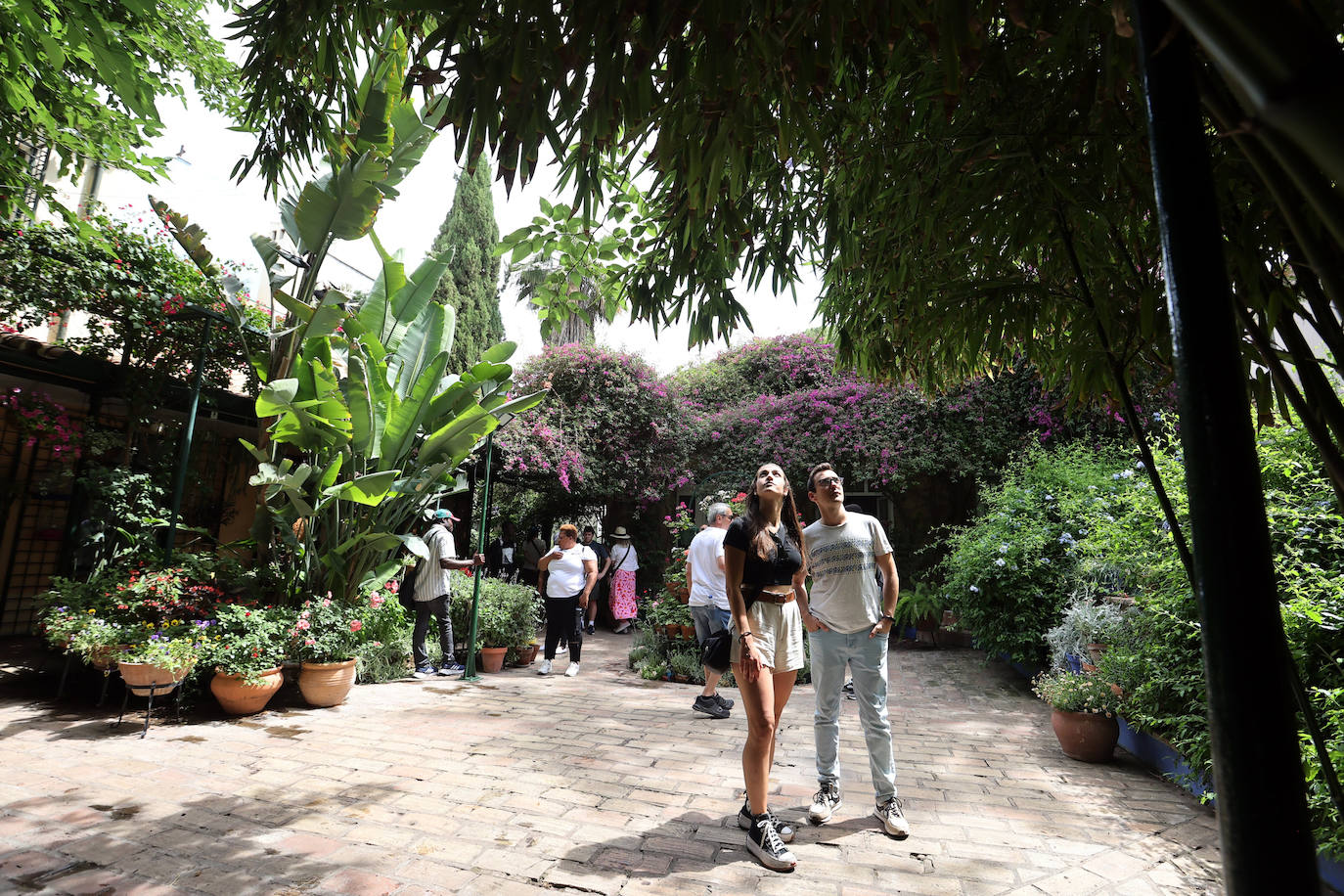 Patios de Córdoba 2023 | La genuina ruta de Santiago y San Pedro, en imágenes