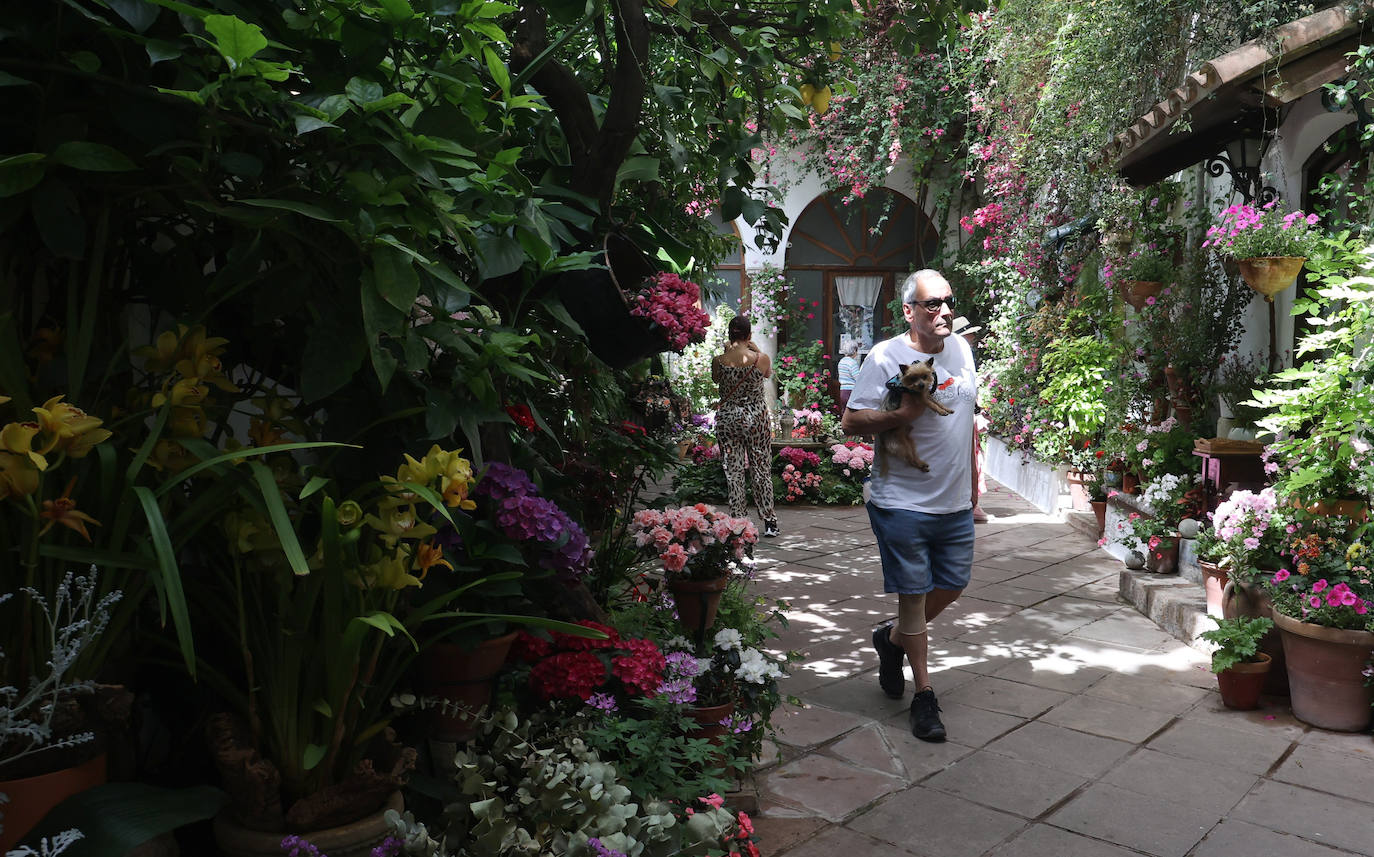 Patios de Córdoba 2023 | La genuina ruta de Santiago y San Pedro, en imágenes