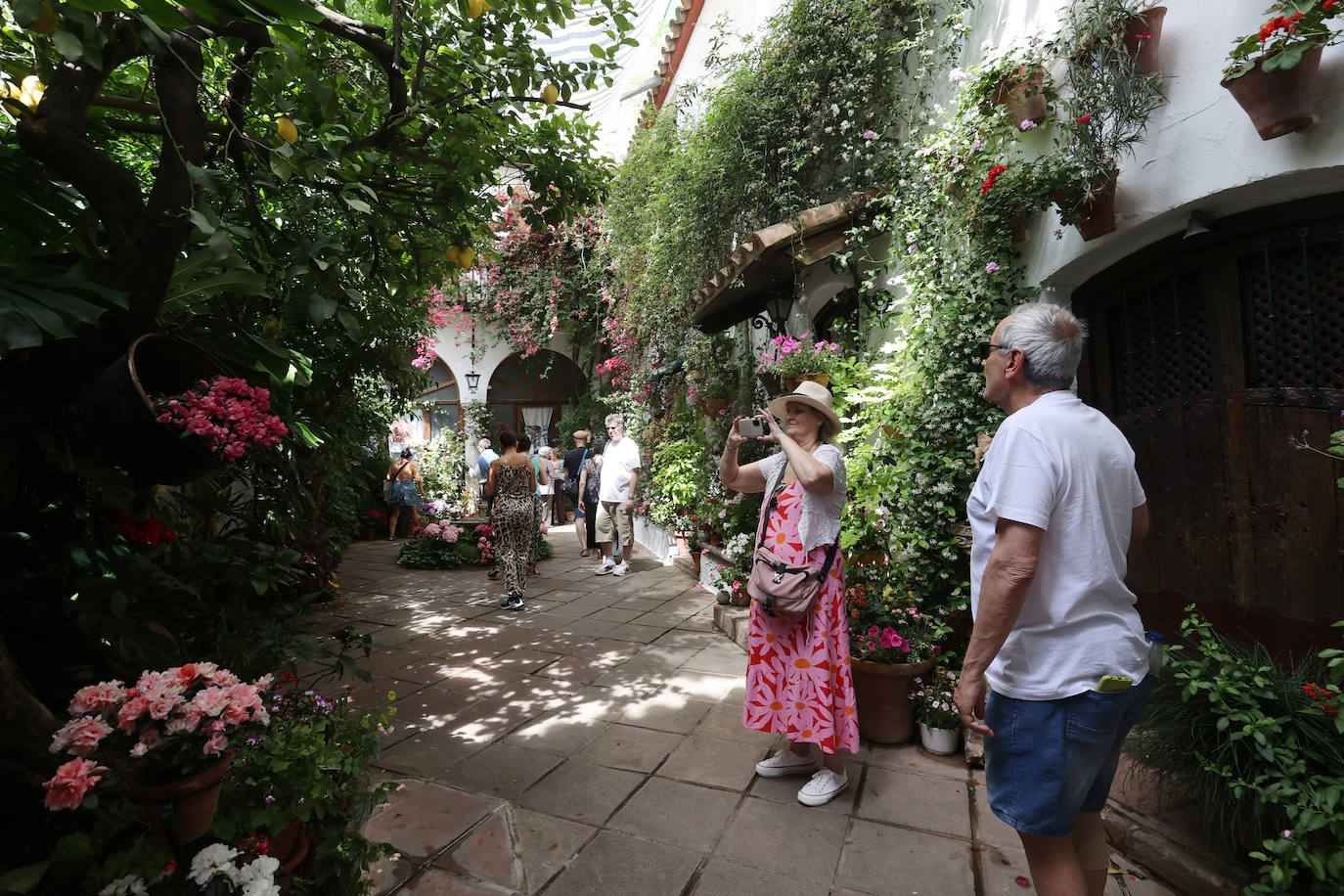 Patios de Córdoba 2023 | La genuina ruta de Santiago y San Pedro, en imágenes