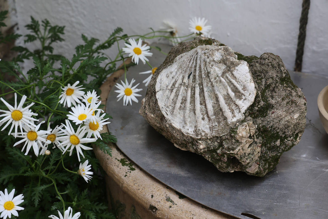 Patios de Córdoba 2023 | La genuina ruta de Santiago y San Pedro, en imágenes