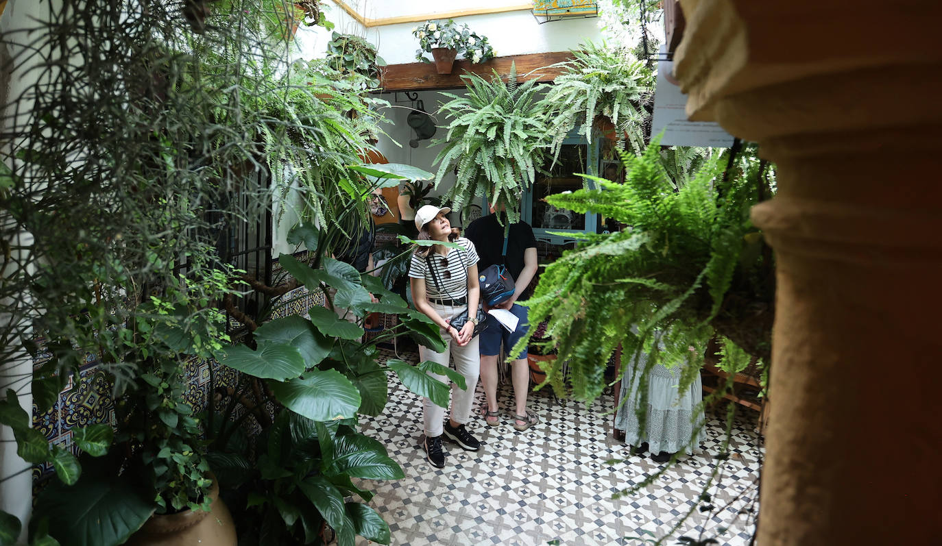 Patios de Córdoba 2023 | La genuina ruta de Santiago y San Pedro, en imágenes