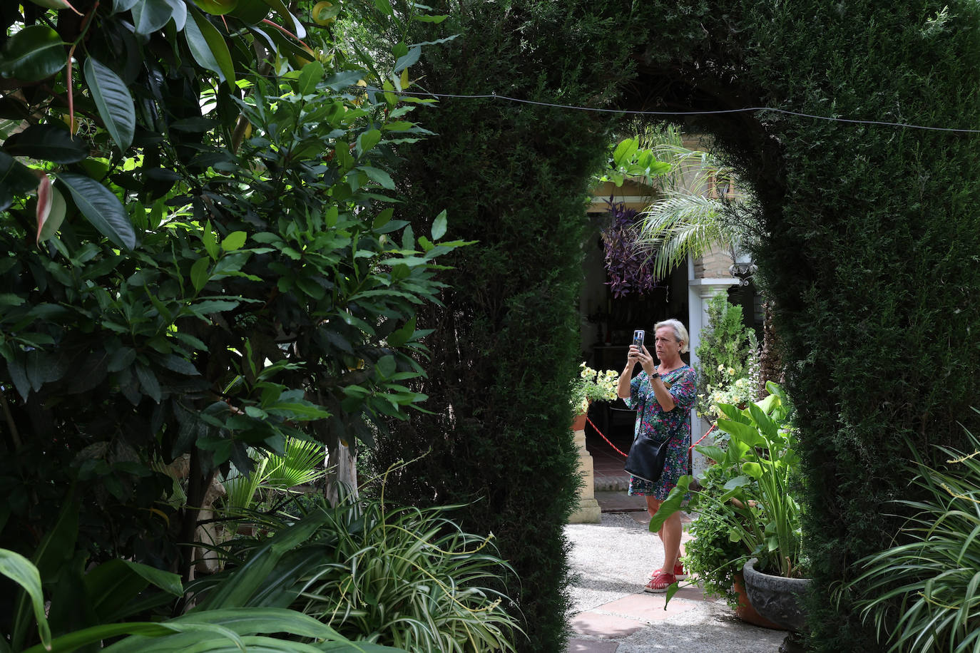 Patios de Córdoba 2023 | La genuina ruta de Santiago y San Pedro, en imágenes