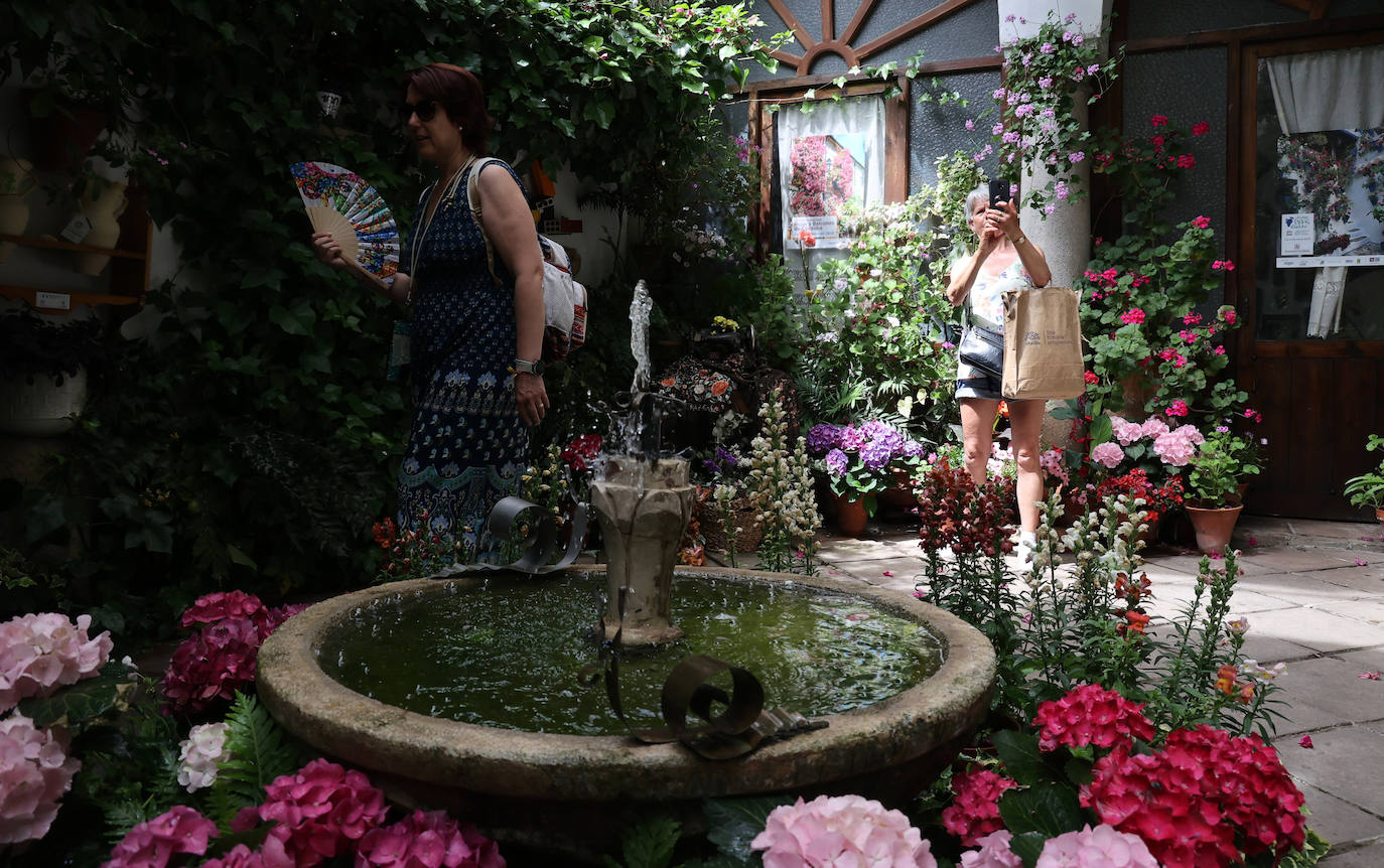 Patios de Córdoba 2023 | La genuina ruta de Santiago y San Pedro, en imágenes