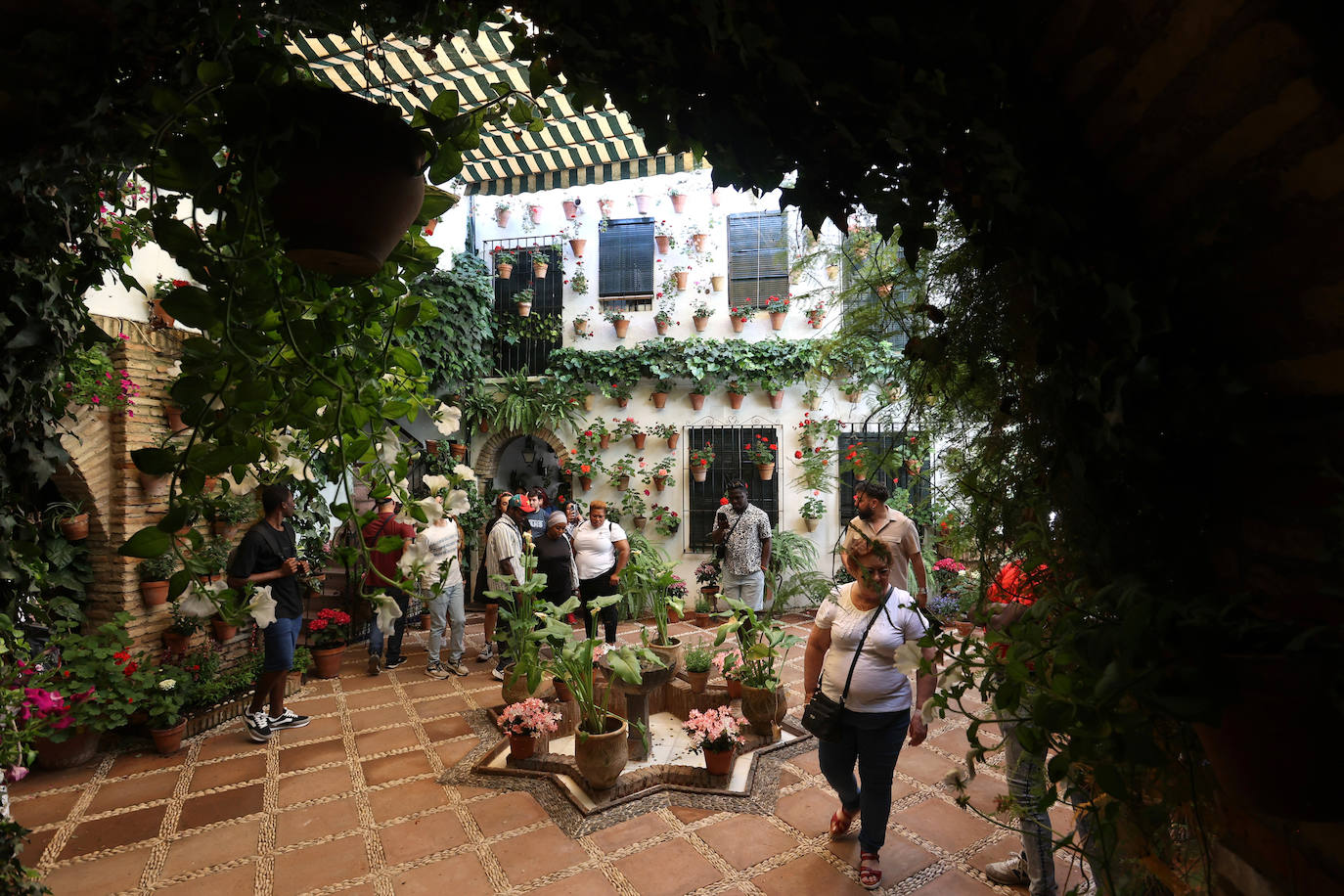 Patios de Córdoba 2023 | La genuina ruta de Santiago y San Pedro, en imágenes