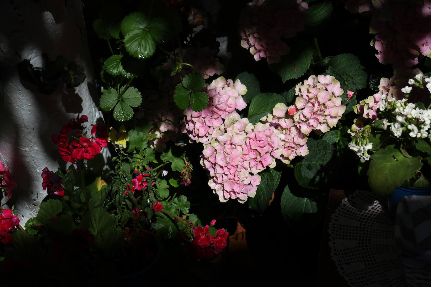 Patios de Córdoba 2023 | La genuina ruta de Santiago y San Pedro, en imágenes