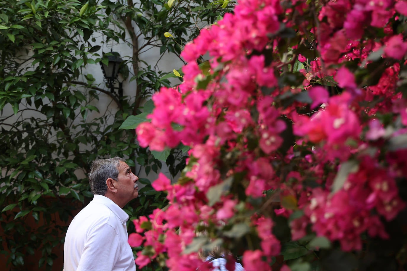 Patios de Córdoba 2023 | La genuina ruta de Santiago y San Pedro, en imágenes