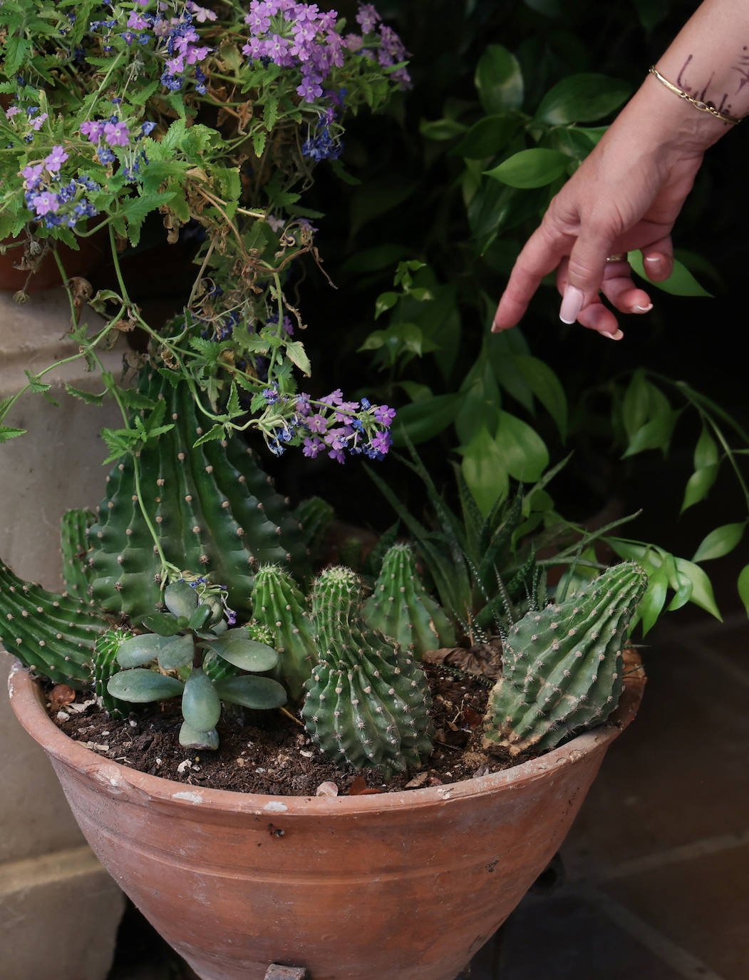 Patios de Córdoba 2023 | La genuina ruta de Santiago y San Pedro, en imágenes